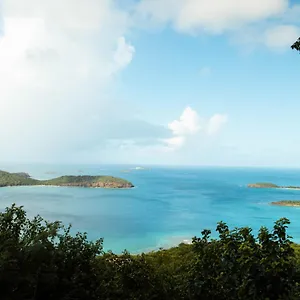 Aleli , Isla Culebra Puerto Rico